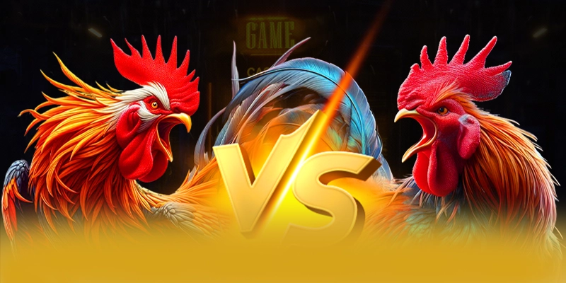 Đánh giá từ thành viên đã trải nghiệm về BET168