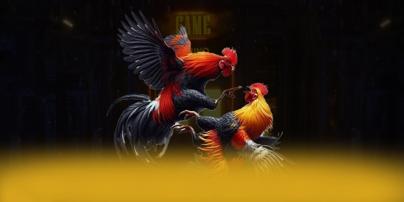 8XBET - Cổng game ổn định tại Việt Nam